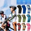 s9098ace5bc3b46a4814901634973ad59h.webp